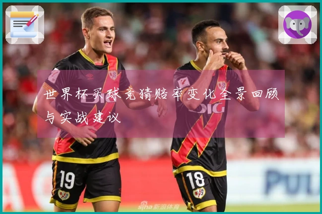 世界杯买球竞猜赔率变化全景回顾与实战建议