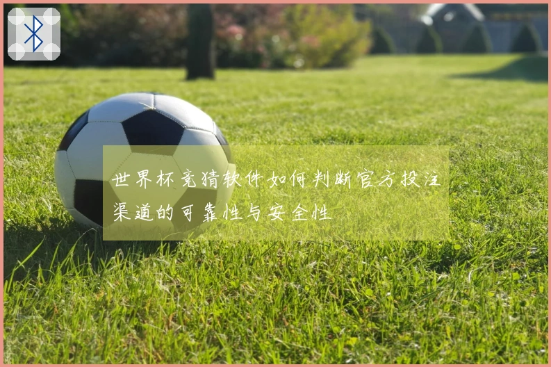 世界杯竞猜软件如何判断官方投注渠道的可靠性与安全性