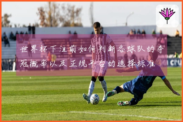 世界杯下注前如何判断各球队的夺冠概率以及正规平台的选择标准
