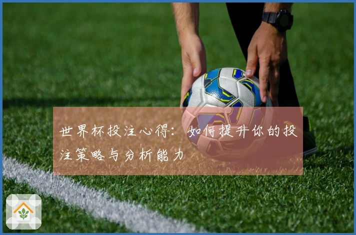 世界杯投注心得：如何提升你的投注策略与分析能力