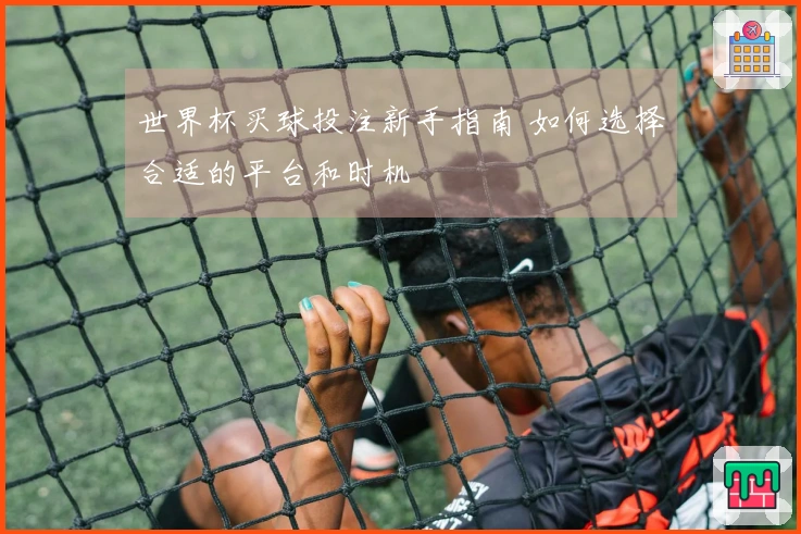 世界杯买球投注新手指南 如何选择合适的平台和时机