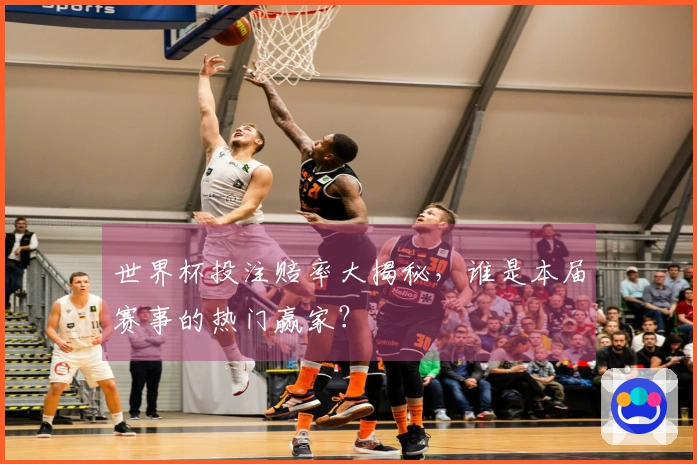 世界杯投注赔率大揭秘，谁是本届赛事的热门赢家？