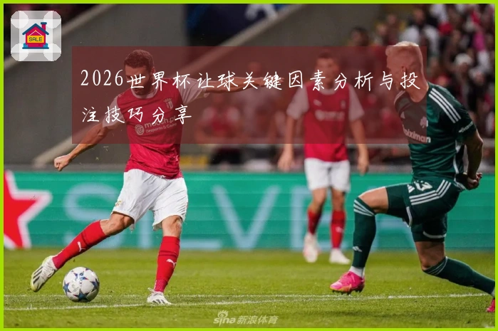 2026世界杯让球关键因素分析与投注技巧分享