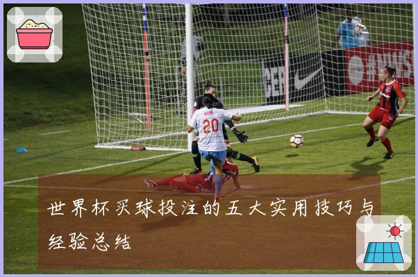 世界杯买球投注的五大实用技巧与经验总结