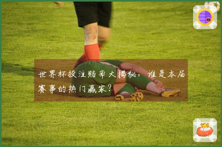 世界杯投注赔率大揭秘，谁是本届赛事的热门赢家？