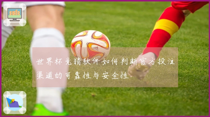 世界杯竞猜软件如何判断官方投注渠道的可靠性与安全性
