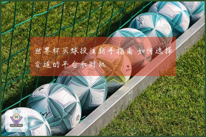 世界杯买球投注新手指南 如何选择合适的平台和时机