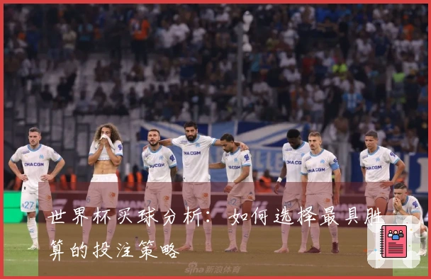 世界杯买球分析：如何选择最具胜算的投注策略