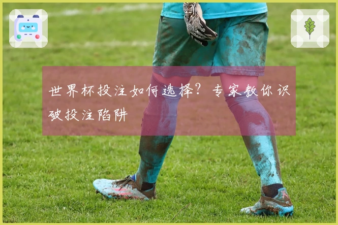 世界杯投注如何选择？专家教你识破投注陷阱