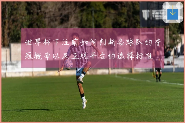世界杯下注前如何判断各球队的夺冠概率以及正规平台的选择标准