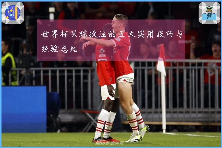 世界杯买球投注的五大实用技巧与经验总结